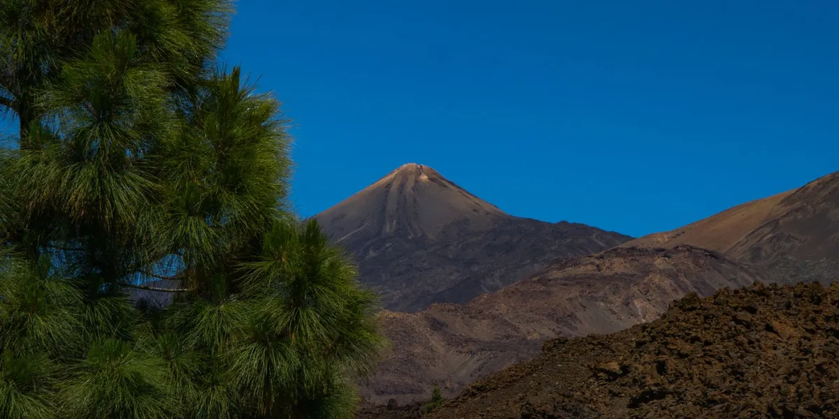 Best Things to Do in Tenerife