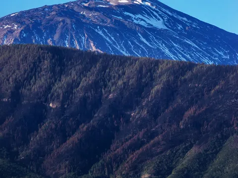 Mount Teide
